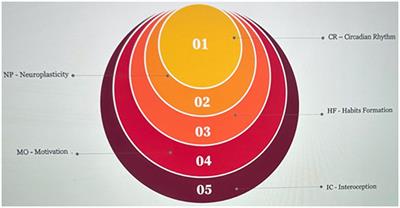 Innovative health tracker that provides advanced functionalities to support and guide users in modifying their lifestyle: a Straussian ground theory approach
